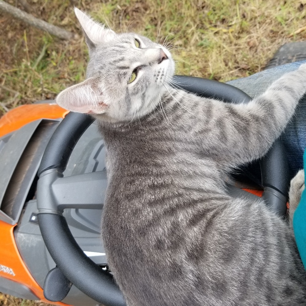 Meet your Posher, Kyler